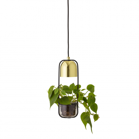 Loftlampe 'Gullak' - Guld