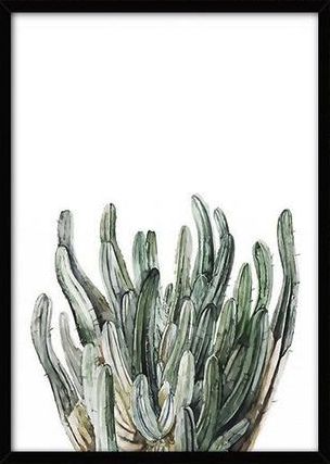 Canvas Plakat L - Tropisk plante 9