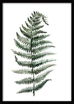 Canvas Plakat L - Tropisk plante 10