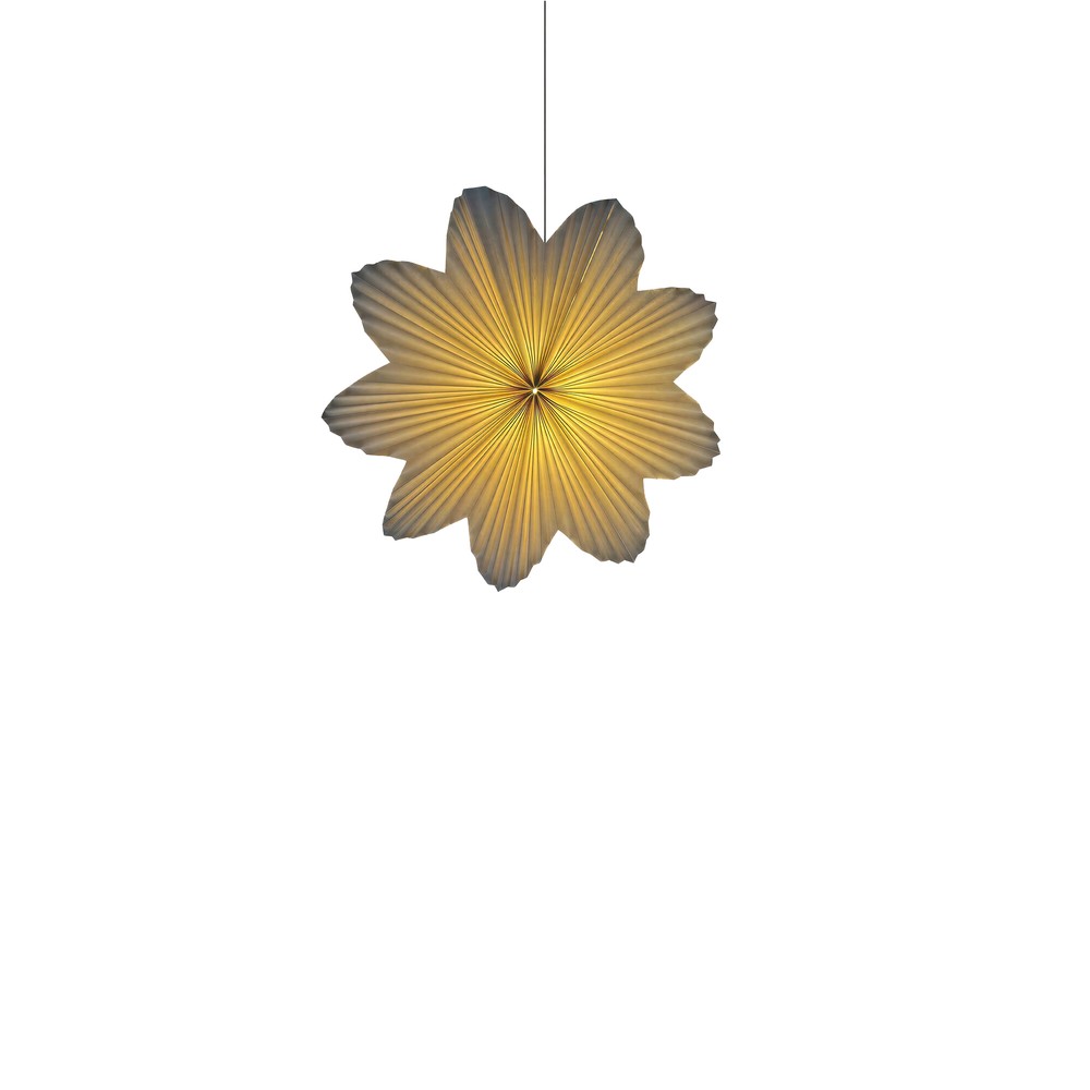 Adventsstjerne 'Daisy' 60cm - Hvid