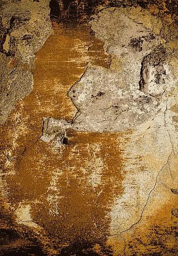 Wilton tæppe 'Olivera' 240x340cm - Brun