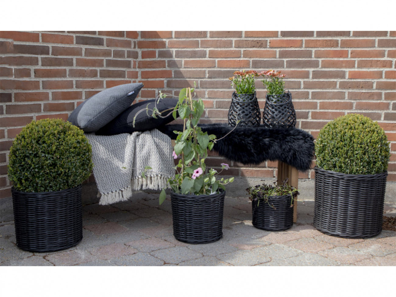 Kurve 'Bogor Black' 4-pak - Sort