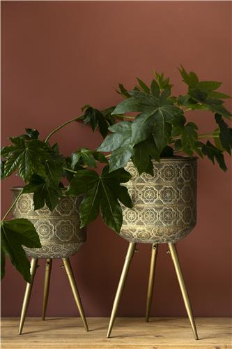 Krukke 'Botanique' L - Messing