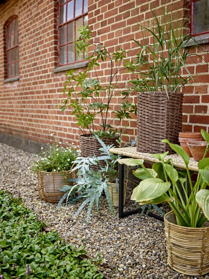 Havebænk 'Adilly' – Natur/Rattan