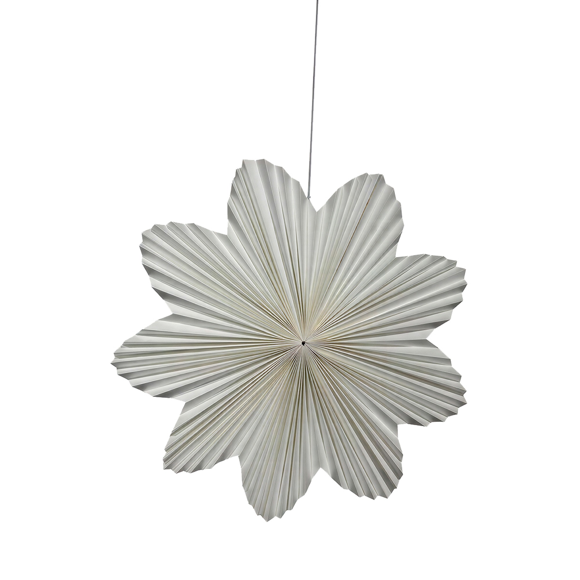 Adventsstjerne 'Daisy' 60cm - Hvid