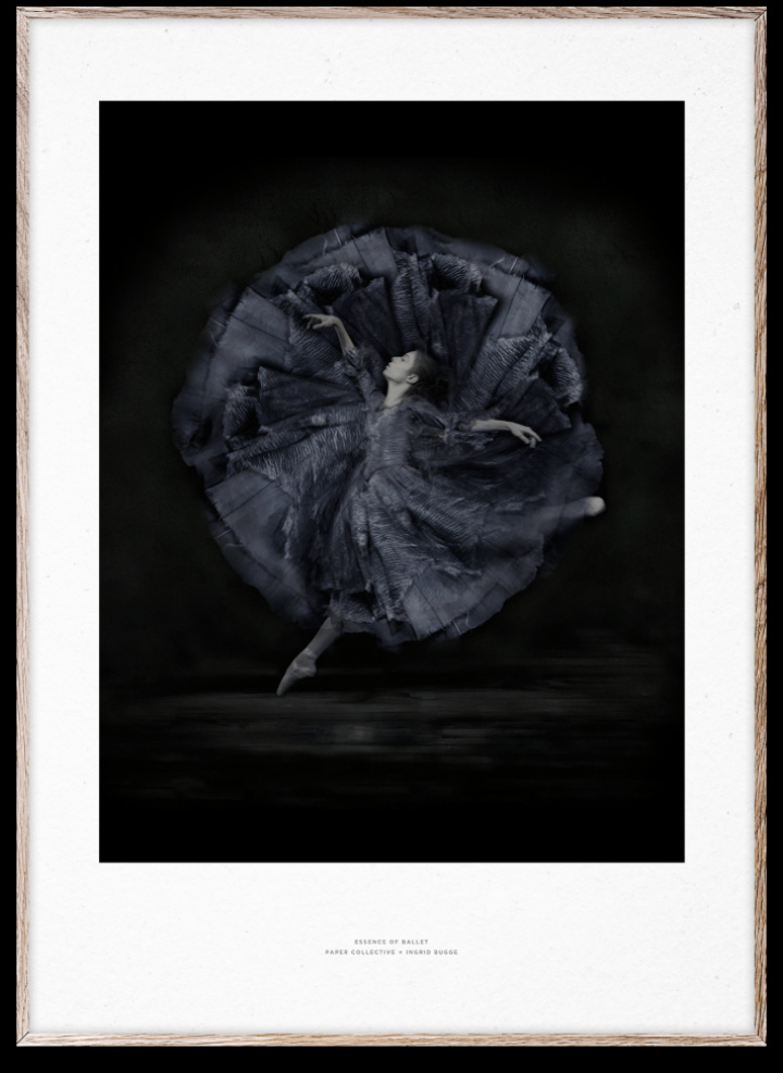 Plakat \'Essence of Ballet 06\' 50x70 - Sort/Hvid i gruppen Indretning / Dekoration / Tavler & plakater hos Reforma (10119)