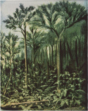Vægdekoration \'Botanic\' 100x127 - Grøn
