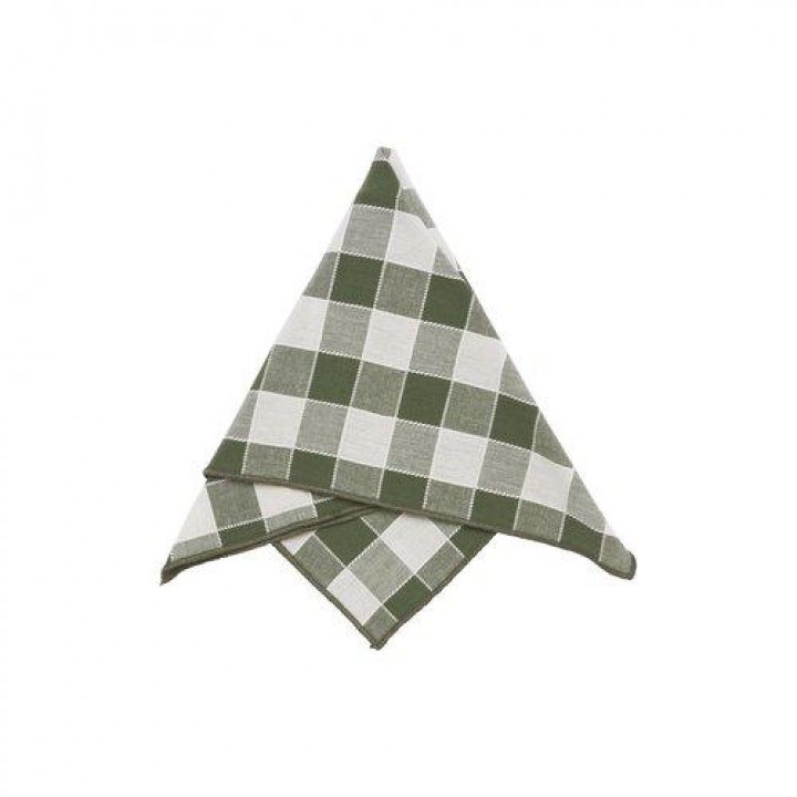 Serviet \'Mary\' 45x45 - Grøn i gruppen Indretning / Tekstiler hos Reforma (1369-83-177)