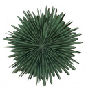 Adventskrans \'Svedala\' 46cm - Grøn