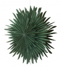 Adventskrans \'Svedala\' 46cm - Grøn