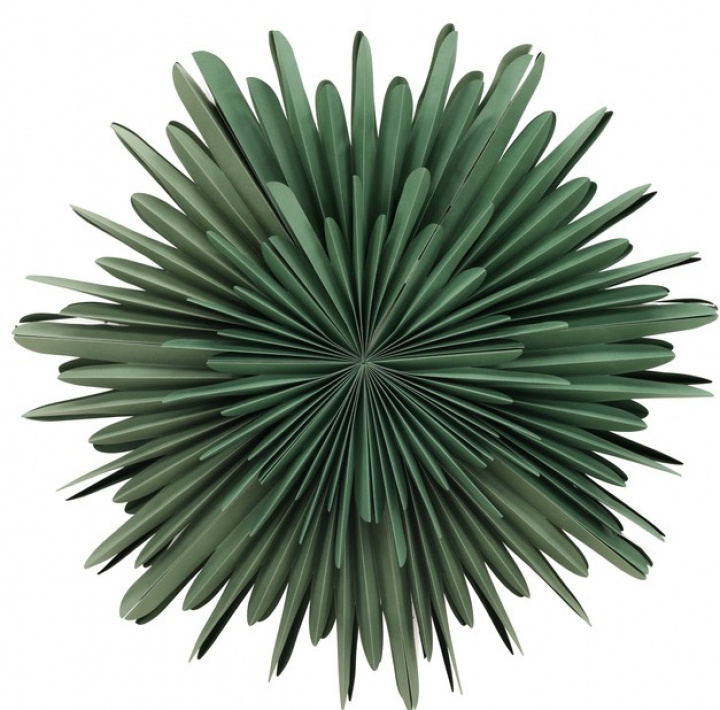 Adventskrans \'Svedala\' 80cm - Grøn i gruppen Jul / Juledekorationer / Jule-stjerner hos Reforma (20033-104)