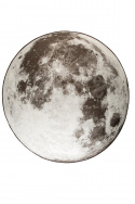 Tæppe \'Moon Outdoor\' 200cm - Grå