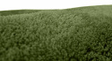 Rund tæppe \'Aranga Super Soft\' 80cm - Oliven