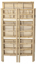 Boghylle \'Bamboo\' - Natur