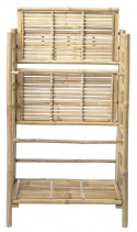Boghylle \'Bamboo\' - Natur