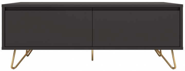 TV-bænk \'Elle\' - Sort/Messing i gruppen Møbler / Hylder & opbevaring / TV-Bænke hos Reforma (ELLETU01-black)
