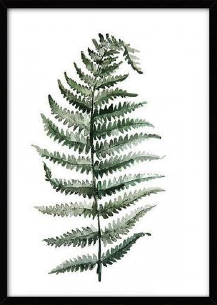 Canvas Plakat L - Tropisk plante 10 i gruppen Indretning / Dekoration / Tavler & plakater hos Reforma (LS71237-10-K-5070)