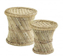 Paller \'Pampas\' - Natur