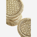 Paller \'Pampas\' - Natur
