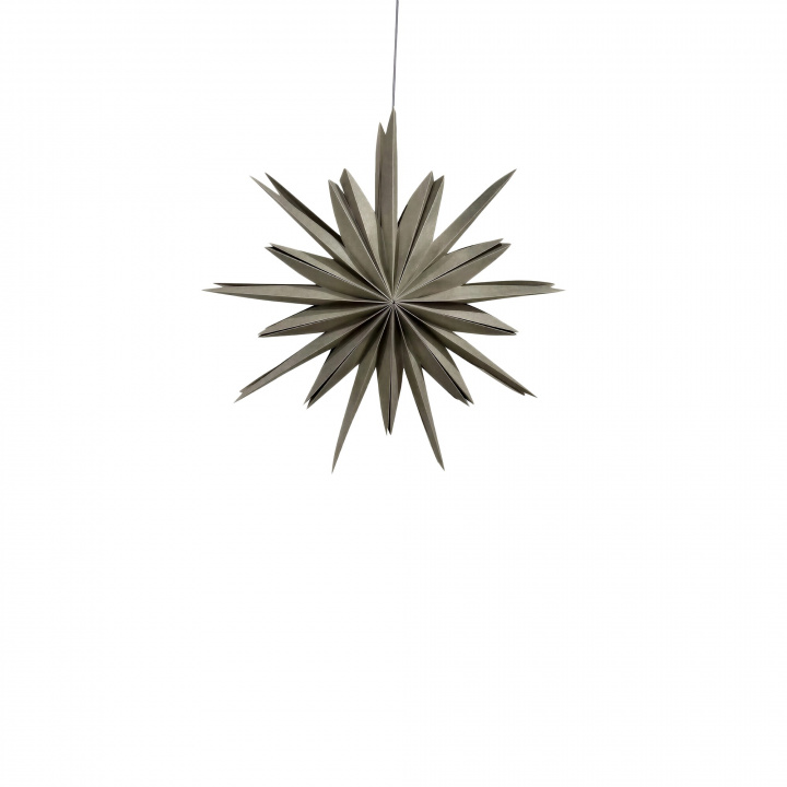 Adventsstjerne \'Fiona\' 65 - Gr&aring; i gruppen Belysning / Lamper / Julebelysning hos Reforma (WW-ADST)