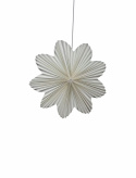 Adventsstjerne \'Daisy\' 60cm - Hvid